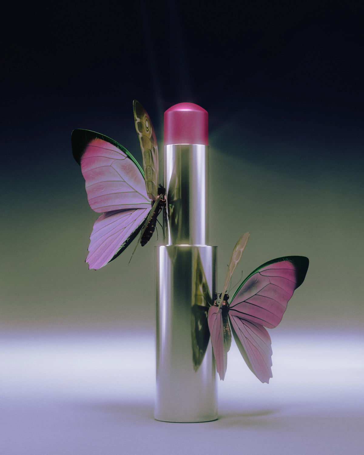 Butterfly still life photography